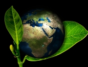 modelo de negocio sostenible